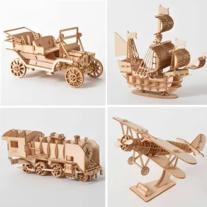 3D Wood Puzzle