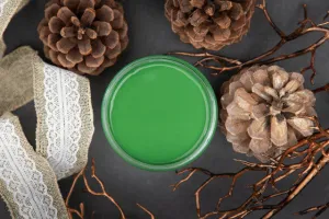 Dixie Belle Evergreen Chalk Paint