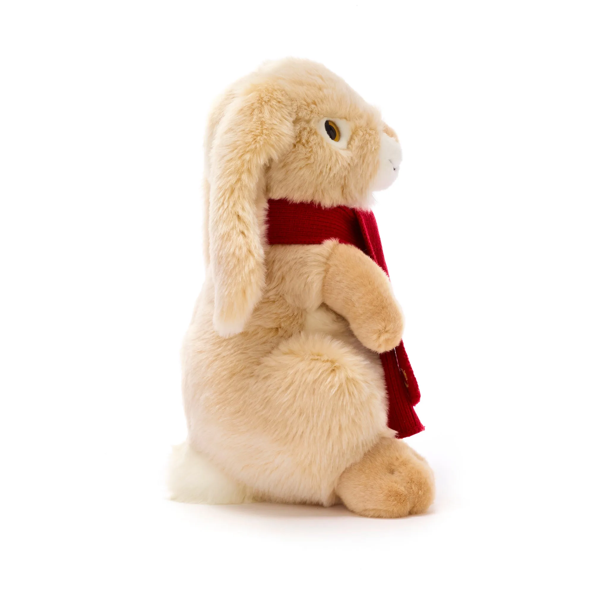 Hopscotch the Rabbit