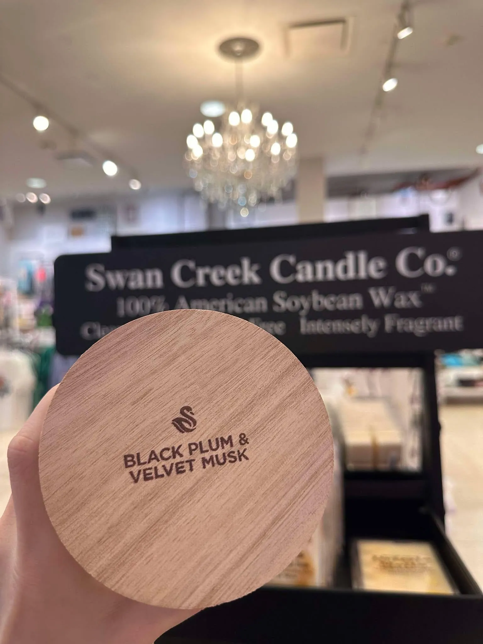 Swan Creek BLACK PLUM & VELVET MUSK Timeless Jar Candle